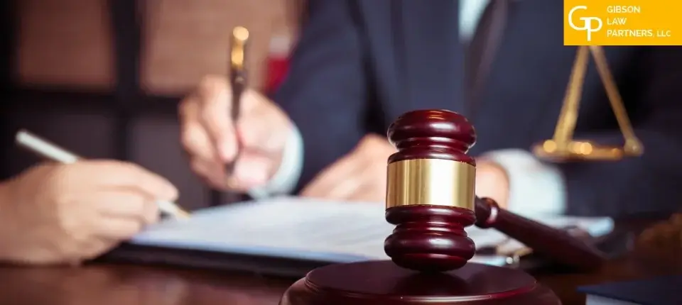 Acadia Parish Professional Liability Lawyer